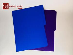 FOLDER FLUORESCENTE T/CARTA COLORES
